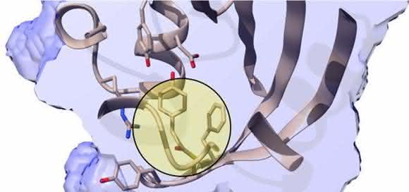 Biosensor
