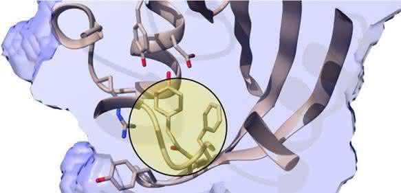 Biosensor Biosensor
