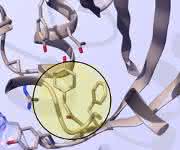 Biosensor