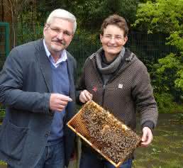 Honigbienen