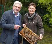 Honigbienen