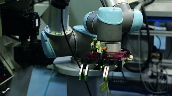 Kollabrorierender Roboter