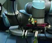 Kollabrorierender Roboter Kollabrorierender Roboter