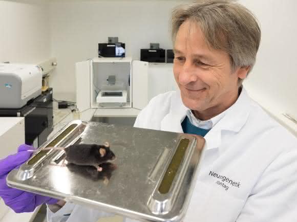 Dr. Dirk Montag Dr. Dirk Montag