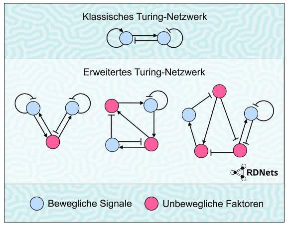 Turing-Netzwerk Turing-Netzwerk