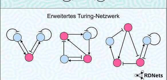 Turing-Netzwerk