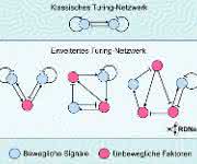Turing-Netzwerk