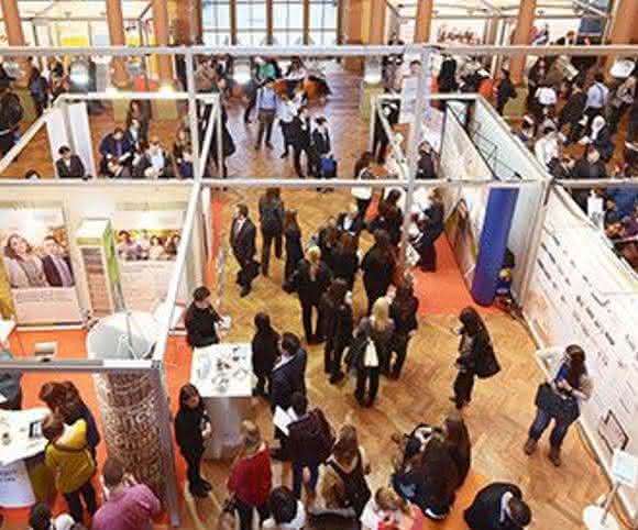 jobvector career day