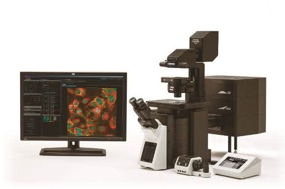 Laser-Scanning-Mikroskop Laser-Scanning-Mikroskop