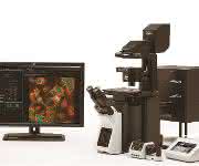 Laser-Scanning-Mikroskop
