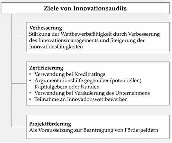 Ziele von Innovationsaudits