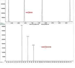 Selected Ion Monitoring