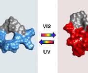 Molekül GS-DProSw Molekül GS-DProSw