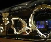 Megalodon-Gebiss