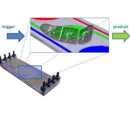 Der mikrofluidische Bioreaktor ahmt Pflanzengewebe technisch nach. Im neuen Projekt machen die Forscher nun den nächsten Schritt (Bild: KIT).