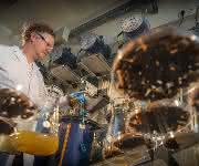 Biogasproduktion