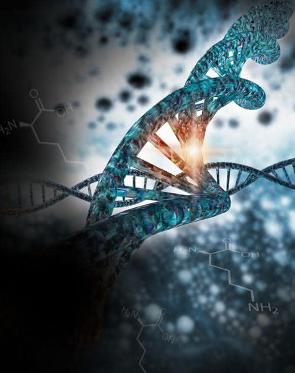 CRISPR Epigenetic Activator