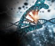CRISPR Epigenetic Activator