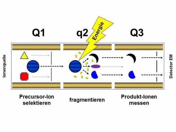 Triple-Quadrupol-Massenspektrometer