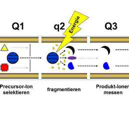 Triple-Quadrupol-Massenspektrometer