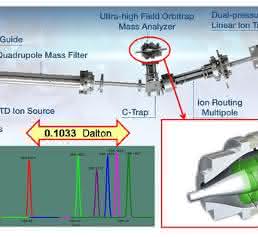 Tandem-MS mit Orbitrap-Technologie