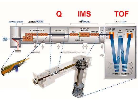 Tandem-Massenspektrometers
