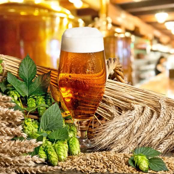 Bierbraukunst und Bieranalytik: Gefahrstoffe auch im  Brauerei-Labor sicher verwahren