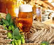 Bierbraukunst und Bieranalytik: Gefahrstoffe auch im  Brauerei-Labor sicher verwahren