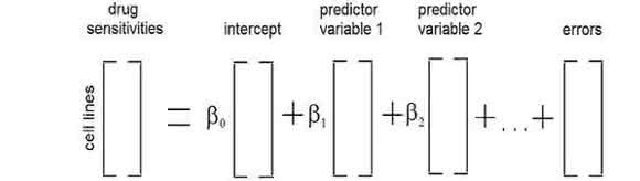 The regression model