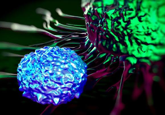 Genomics/Proteomics: Mining the Breast Cancer Proteome for Predictors of Drug Sensitivity