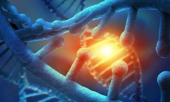Maintain Genomic Stability: Multitask of DNA Replication Proteins