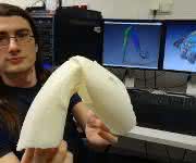 3D-gedrucktes Spinnenknie 3D-gedrucktes Spinnenknie