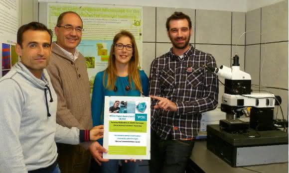 Paper Award 2016 in Silber Paper Award 2016 in Silber
