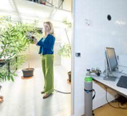 Mitarbeiter der Professur für Ökosystemphysiologie untersuchen in den Klimakammern künftig, wie sich veränderte Klimabedingungen auf die Vegetation auswirken. (Foto: Klaus Polkowski)