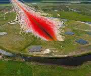 Ein Luftschauer aus vielen Teilchen trifft in dieser Bildmontage auf das Detektorfeld im Kern des Teleskops LOFAR im niederländischen Exloo. (Bild: ASTRON / KIT) Ein Luftschauer aus vielen Teilchen trifft in dieser Bildmontage auf das Detektorfeld im Kern des Teleskops LOFAR im niederländischen Exloo. (Bild: ASTRON / KIT)