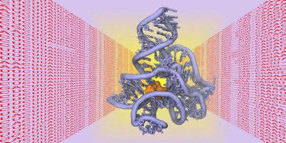 3D-Struktur von Biomolekül 3D-Struktur von Biomolekül