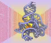 3D-Struktur von Biomolekül