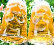 Umweltinstitut München: Deutsche Biere mit Glyphosat belastet Umweltinstitut München: Deutsche Biere mit Glyphosat belastet