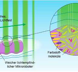 Mikroroboter