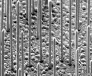 Nanodrähte