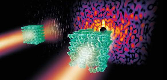 Biomoleküle Biomoleküle