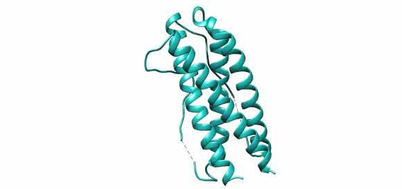 Interleukin-11