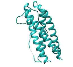 Interleukin-11