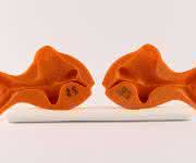 Plastikgoldfisch