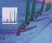 GC x GC 3D-Contour-Plot GC x GC 3D-Contour-Plot