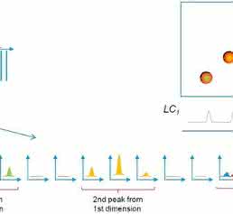 LC x LC mit 2D-Contour-Plot LC x LC mit 2D-Contour-Plot
