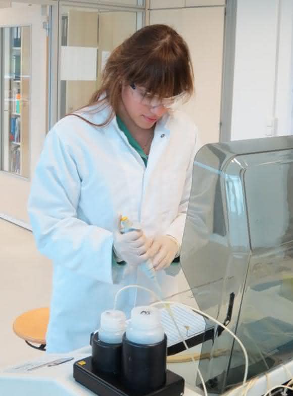 Line-Probe-Assay