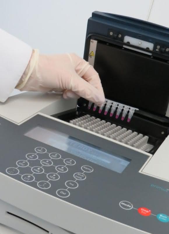 Polymerase-Kettenreaktion