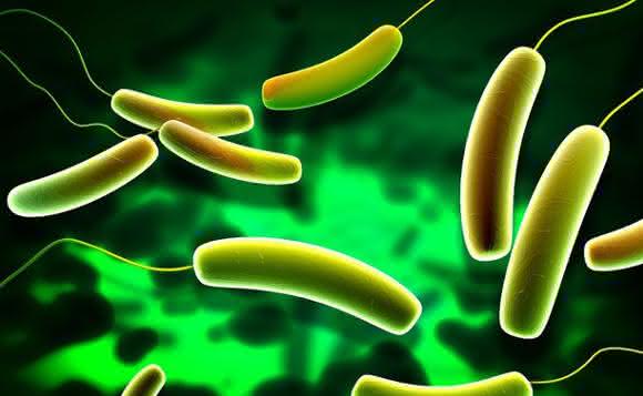Neuer Line-Probe-Assay: Schneller und gezielter Nachweis von 13 Carbapenemasen