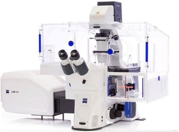 Laser-Scanning-Mikroskop